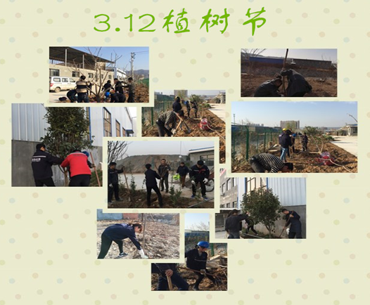 寶雞捷銳“迎春風，綠家園”植樹節(jié)(圖3)